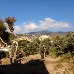 Alberti