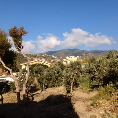 Alberti