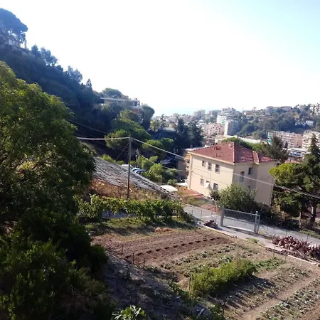 Alberti Holiday home